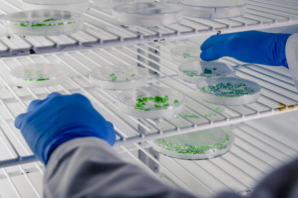 Biomedical Freezer UAE