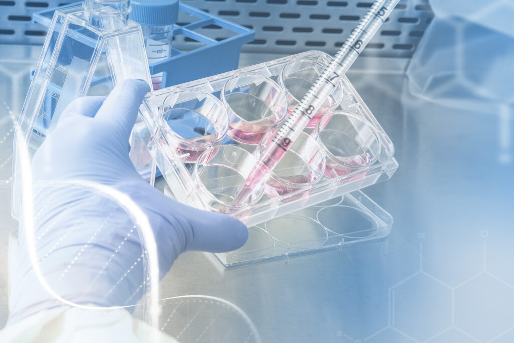 Biomedical Freezer UAE